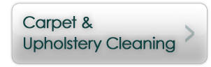 carpetupholstrycleaning button