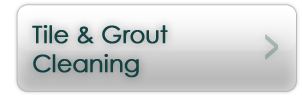 tilegroutcleaning button