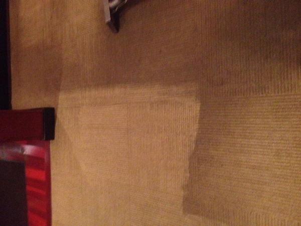 Bare floor Cleaning albany ny