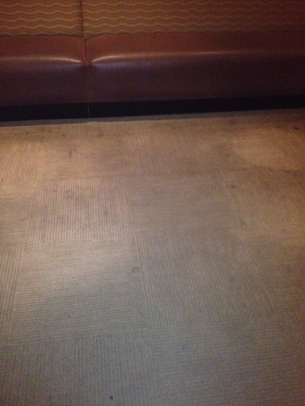 Carpet Cleaning Albany Schenectady Troy Clifton Park Saratoga Springs Delmar East Greenbush