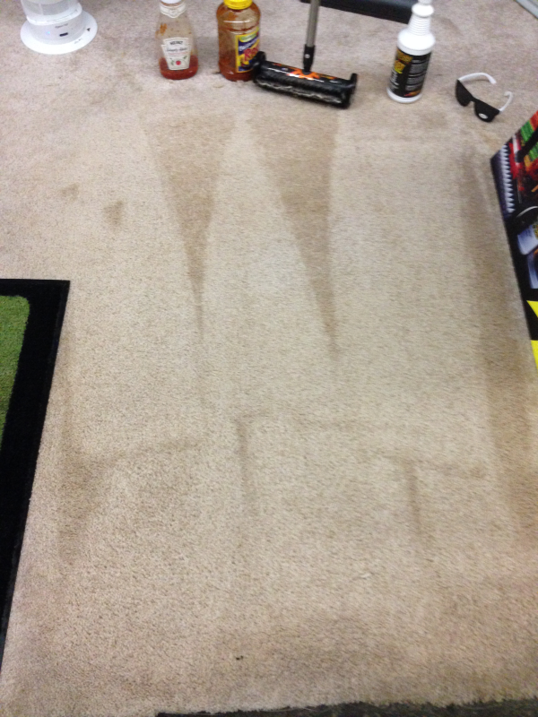 kickass carpet care kit