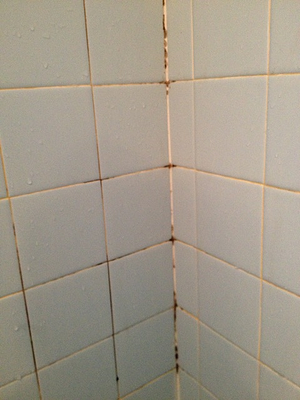 grout cleaning clifton park ny before