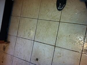 Tile Cleaning Albany NY
