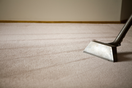 carpet cleaning albany to glens falls ny