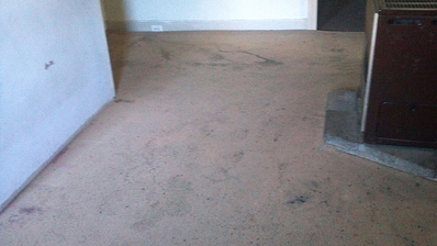 capital vacuums carpet Cleaning Before Picture