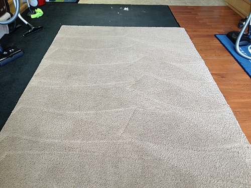 KickAss Carpet Care