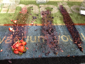 carpet cleaning