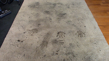 Carpet Before KickAss
