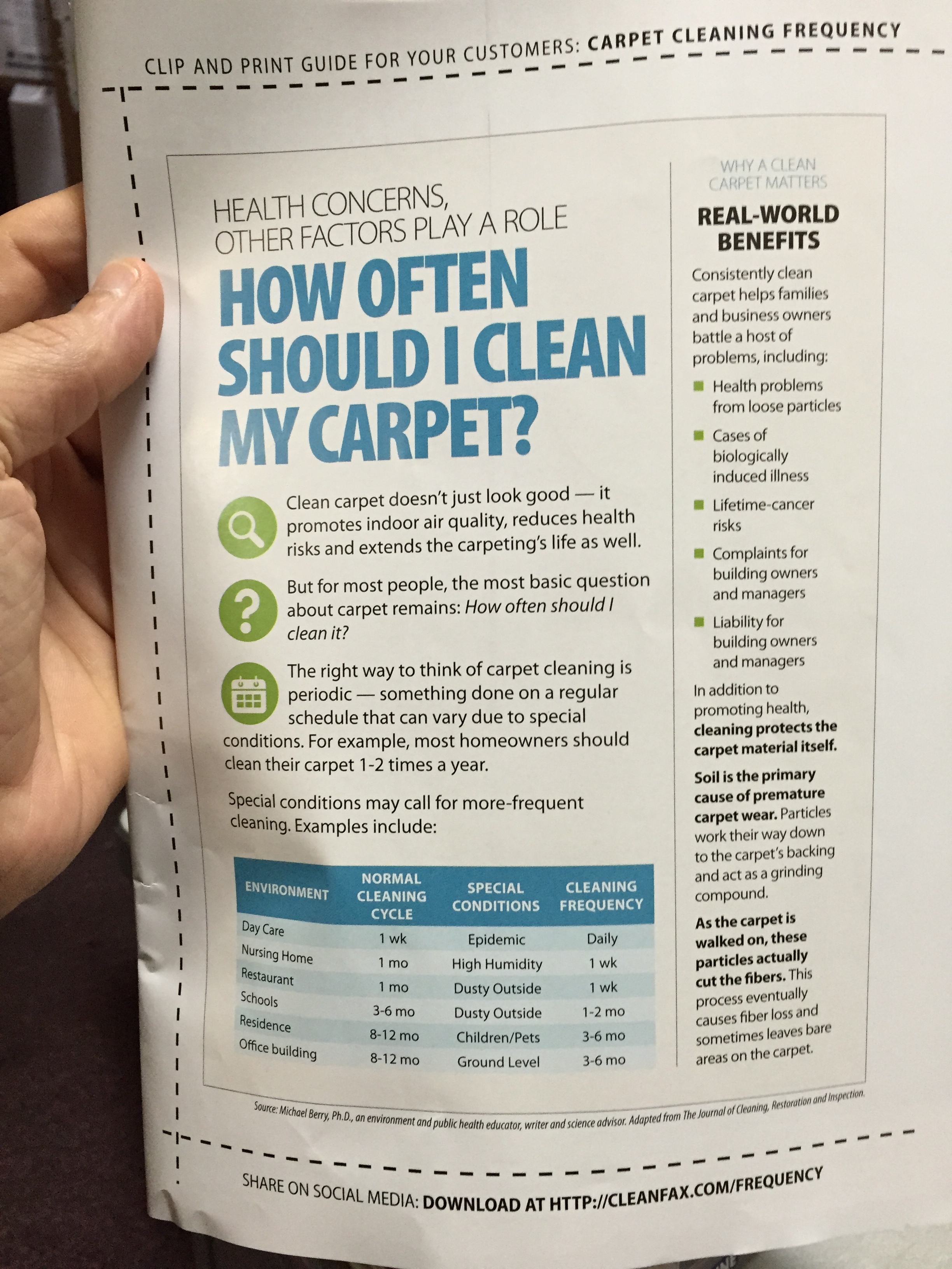 How Often Should You Clean Your Carpets?